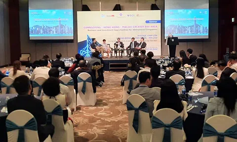 Khu vực Vịnh Lớn Quảng Đông-Hồng Kông-Ma Cao: Cơ hội Kinh doanh và Đầu tư cho các Doanh nghiệp Việt Nam