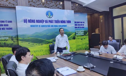 Vai trò của Hiệp hội, ngành hàng vẫn mờ nhạt trong ngành chăn nuôi