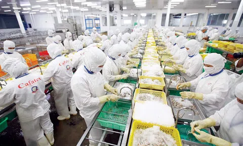 Xuất khẩu nông lâm thủy sản 10 tháng đạt gần 45 tỷ USD