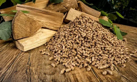 Nguy cơ thiếu nguyên liệu khi thị trường viên nén gỗ tăng trưởng nóng