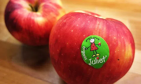 Chương trình trình diễn ẩm thực và thưởng thức táo Pháp sẽ diễn ra vào ngày 04/11 tại TP.HCM