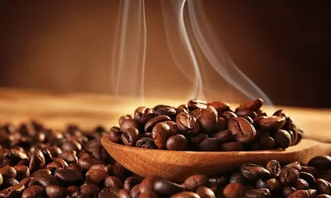 Tiêu dùng xanh ngày 31/10: Nguồn cung dồi dào, cà phê duy trì xu hướng giảm giá