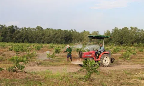 Long An: Cơ giới hóa nông nghiệp có nhiều chuyển biến tích cực