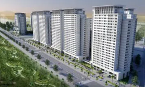 Bán “chui” cổ phiếu, một công ty bất động sản bị phạt 310 triệu đồng, buộc thu hồi cổ phiếu