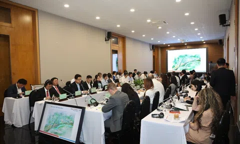 Tổng Công ty Becamex IDC phối hợp UBND tỉnh Bình Định tổ chức Hội nghị trực tuyến xúc tiến đầu tư Hà Lan