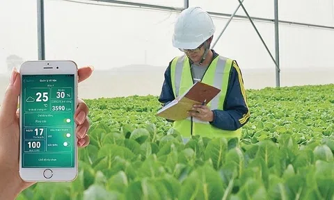 Chuyển đổi số nông nghiệp mở ra nhiều cơ hội bứt phá cho nông sản Việt