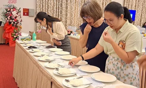 Gạo thơm TBR39 giành giải Nhất cuộc thi Gạo ngon Việt Nam