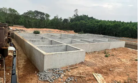 Một công ty sản xuất giấy ở Thanh Hóa xây dựng trái phép trên đất nông nghiệp, liên tục vi phạm quy định bảo vệ môi trường