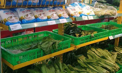 Chỉ số CPI đang phản ánh đúng xu hướng biến động giá trên thị trường Việt Nam