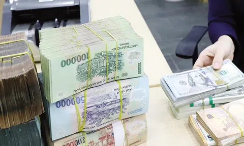 Ngân hàng Nhà nước sẵn sàng hỗ trợ thanh khoản, đảm bảo khả năng chi trả của các tổ chức tín dụng