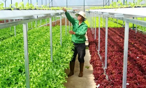 Bà Rịa – Vũng Tàu: Định hướng trở thành trung tâm nông nghiệp công nghệ cao của cả nước