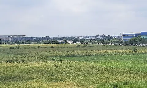 HoREA kiến nghị giải pháp tăng nguồn cung dự án và sản phẩm nhà ở