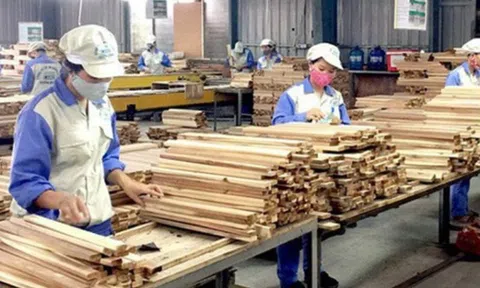 Nhập khẩu gỗ của châu Phi vào Việt Nam ngày càng tăng