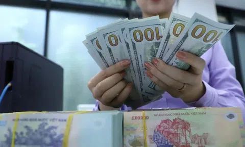 Việt Nam không còn nằm trong danh sách giám sát về thao túng tiền tệ