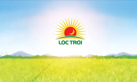 "Bốc hơi" hơn một nửa giá trị cổ phiếu, điều gì đang xảy ra với Tập đoàn Lộc Trời?