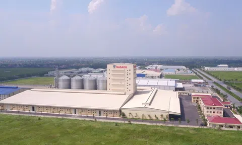 Hà Nam: Xử phạt hàng loạt doanh nghiệp sản xuất thức ăn chăn nuôi không đạt chất lượng