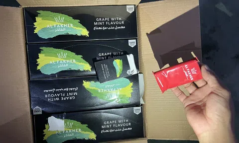 Bình Dương tiêu huỷ lô shisha ALFAKHER nhập lậu trị giá trên 9 tỷ đồng