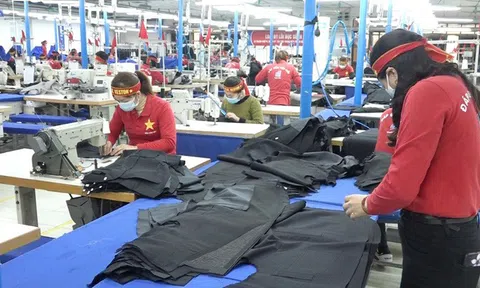 Doanh nghiệp cần cải thiện nội lực trên nhiều mặt để tận dụng hết lợi thế từ UKVFTA