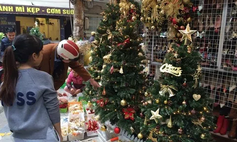 Thông tươi nhập khẩu châu Âu giá gần chục triệu đồng/cây vẫn đắt khách