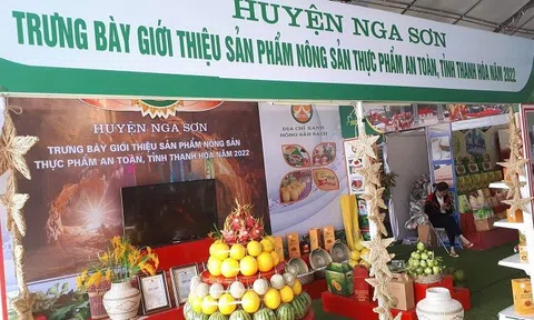 Thúc đẩy liên kết trong xúc tiến thương mại sản phẩm OCOP