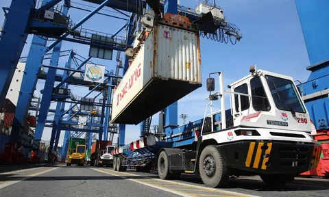 Việt Nam - New Zealand hướng tới kim ngạch thương mại song phương 2 tỷ USD vào năm 2024