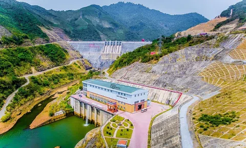 Do đâu Thủy điện Sông Hinh bị phạt 200 triệu đồng?