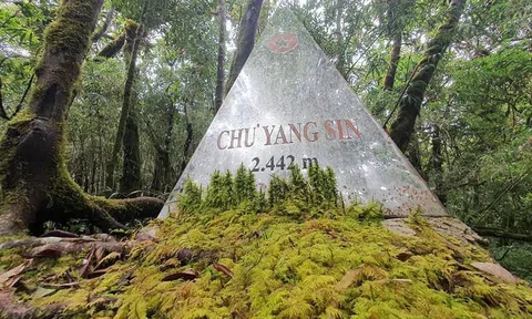 Vùng Tây Nguyên cần chủ động thích ứng trước những thách thức của biến đổi khí hậu