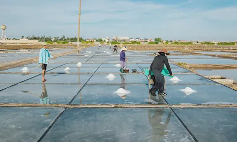 Quảng Bình triển khai các giải pháp thúc đẩy phát triển chế biến nông, lâm, thủy sản và muối