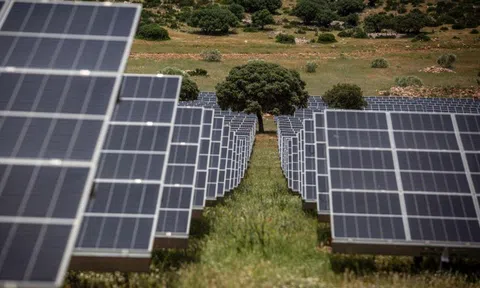 Chuyển đổi năng lượng hóa thạch sang năng lượng xanh: Xu thế tất yếu, vấn đề cấp bách toàn cầu