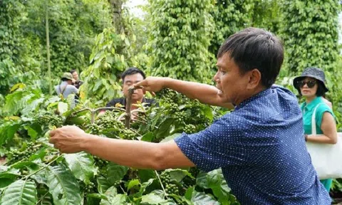 Huy động nguồn lực đầu tư ngoài ngân sách để đưa Đắk Lắk phát triển