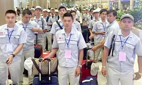 Đình chỉ loạt doanh nghiệp tuyển lao động đi Hàn Quốc không phép