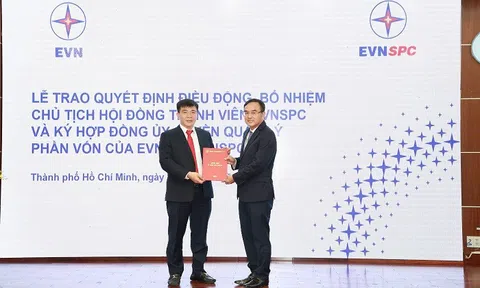 Tổng Công ty Điện lực miền Nam có tân Chủ tịch Hội đồng Thành viên