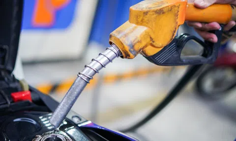 Bộ Tài chính kiến nghị 4 kịch bản về thuế bảo vệ môi trường đối với mặt hàng xăng dầu năm 2023