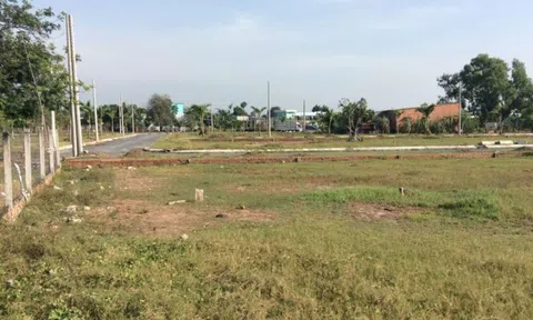 12 giám đốc ở Bình Dương bị khởi tố do vi phạm về đất đai