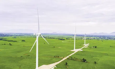 Thúc đẩy quá trình chuyển đổi năng lượng xanh từ khí sinh học