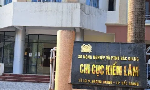 Khởi tố vụ án "Giả mạo trong công tác" tại gói thầu do Chi cục Kiểm lâm tỉnh Bắc Giang làm Chủ đầu tư