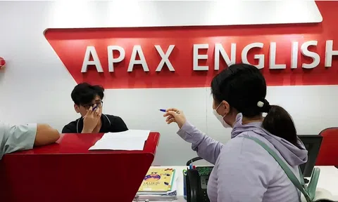Cổ phiếu liên tục giảm, Apax Holdings của Shark Thủy bị cưỡng chế về thuế 5.6 tỷ đồng