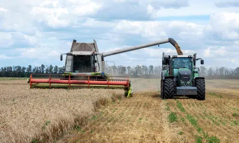 Chi phí vận chuyển leo thang đẩy giá lương thực toàn cầu lên mức cao