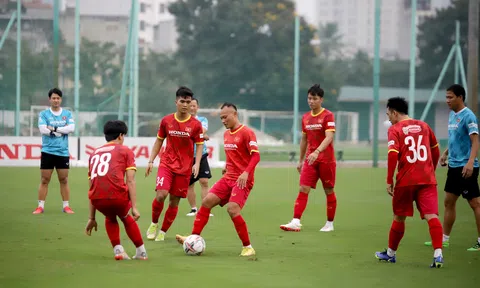 Đội tuyển Việt Nam tập trung chuẩn bị thi đấu tại AFF Mitsubishi Electric Cup 2022
