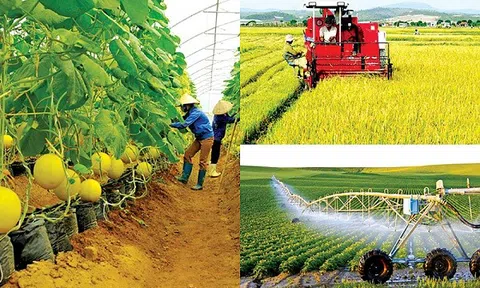 Tăng cường áp dụng khoa học công nghệ vào nông nghiệp để phát triển bền vững