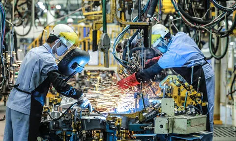 Thu hút đầu tư FDI năm 2022: Đến ngày 20/11, có hơn 25 tỷ USD vốn FDI đầu tư vào Việt Nam