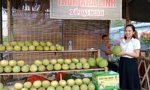 Xây dựng thương hiệu cho cây tạo kế sinh nhai, xoá đói giảm nghèo