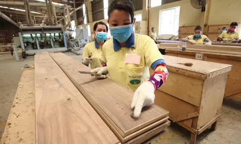 Đơn hàng sụt giảm, ngành gỗ khó đạt mục tiêu xuất khẩu 16,5 tỷ USD