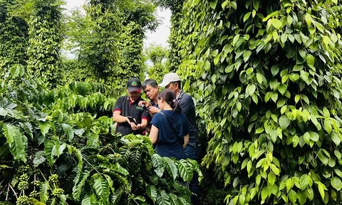 Nestlé Việt Nam đẩy mạnh hợp tác đa bên trong nỗ lực thúc đẩy nông nghiệp xanh, ứng phó biến đổi khí hậu