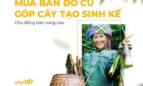 TreeBank, Chợ Tốt và cộng đồng tạo giá trị chung, góp cây tạo sinh kế bền vững cho đồng bào vùng cao