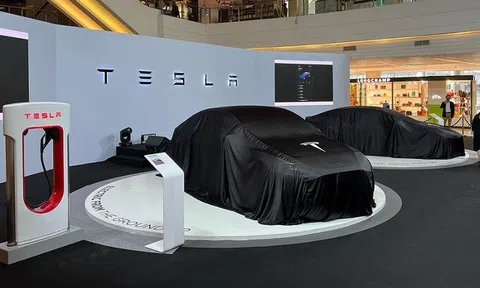 Cuộc đua mở rộng thị trường xe điện vào ASEAN