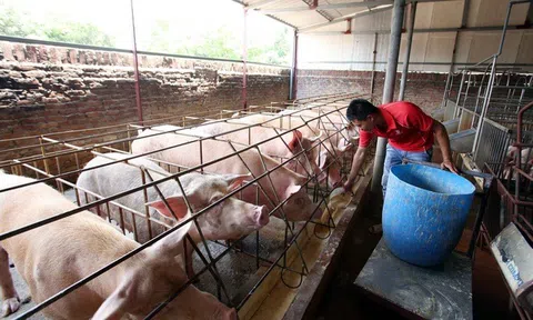 Đắk Lắk: Nâng cao chất lượng sản phẩm nông nghiệp sạch, an toàn đến người tiêu dùng