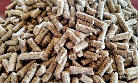 Giá trị xuất khẩu viên nén gỗ tăng 81%