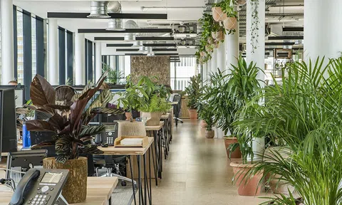 Savills: Thiếu cung văn phòng xanh, áp lực cạnh tranh về giá thuê