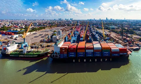 Lắng nghe doanh nghiệp, Hải Phòng giảm phí hạ tầng cảng biển từ 01/01/2023